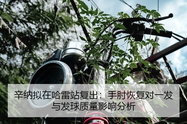 xin-na-ni-zai-ha-lei-zhan-fu-chu-shou-zhou-hui-fu-dui-yi-fa-yu-fa-qiu-zhi-liang-ying-xiang-fen-xi-2-496.jpg